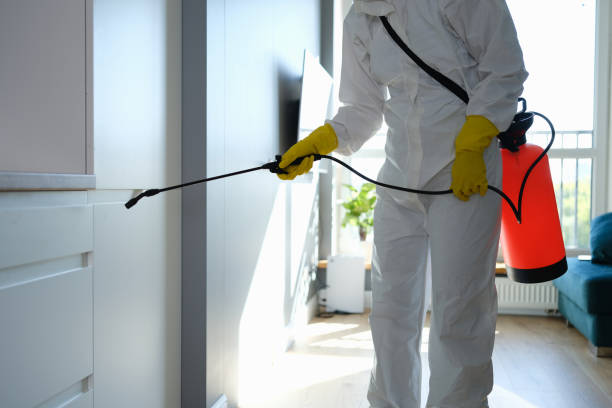 Best Attic Mold Remediation in Ellsworth, KS